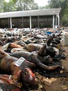 FB IMG 1766120125095